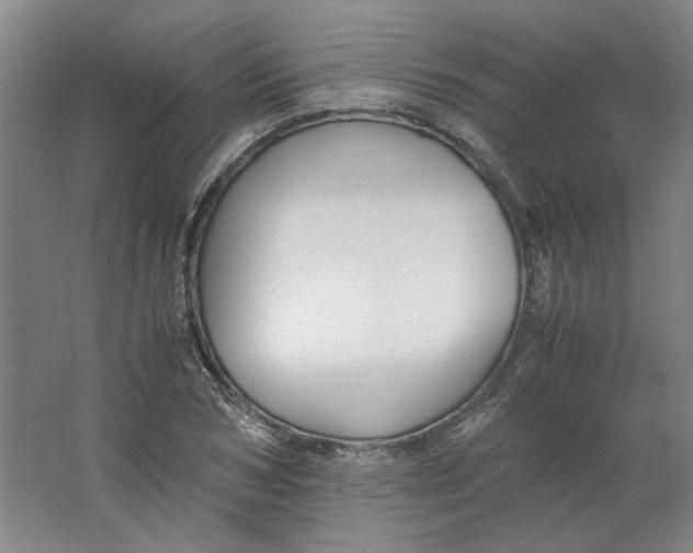 X0000063440978200602101618