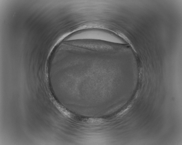 X0000063440981200602101618