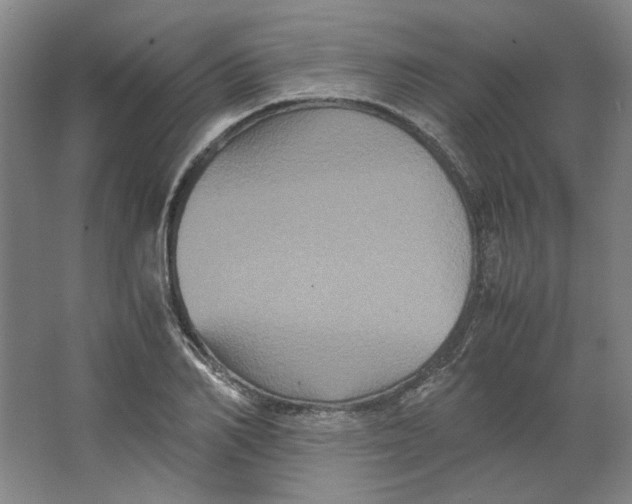 X0000063440982200602101618