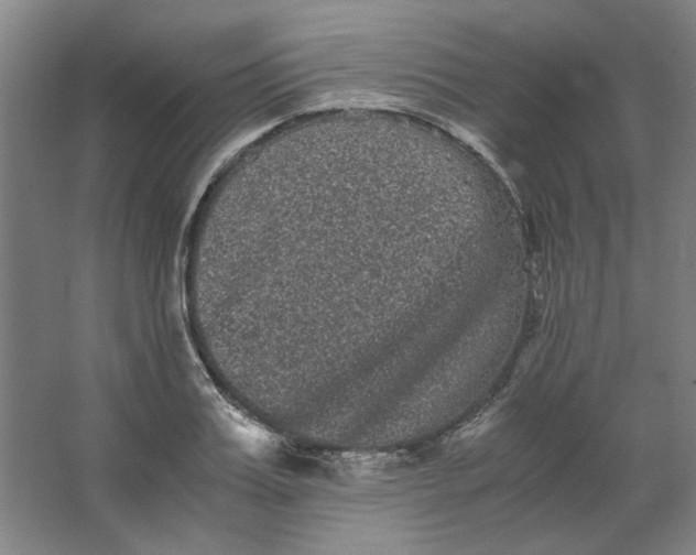 X0000063440987200602101618