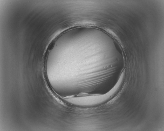 X0000063440989200602101618
