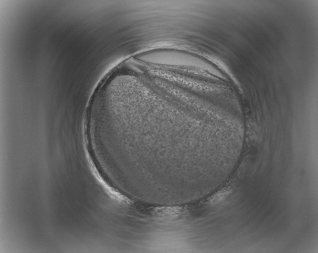 X0000063440991200602101617