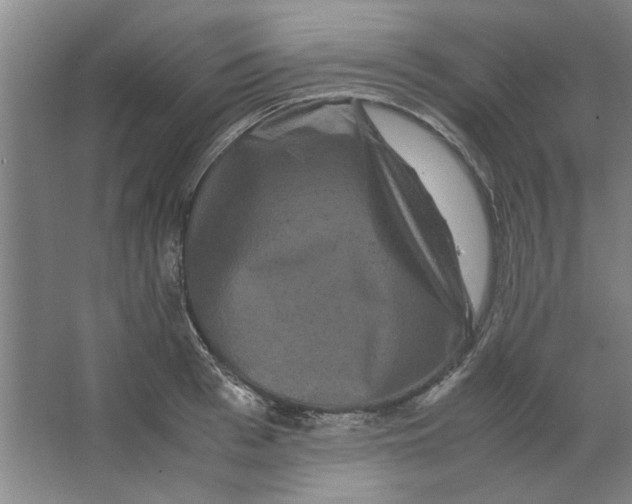 X0000063440993200602101617