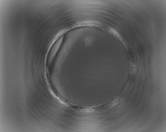 X0000063440994200602101617