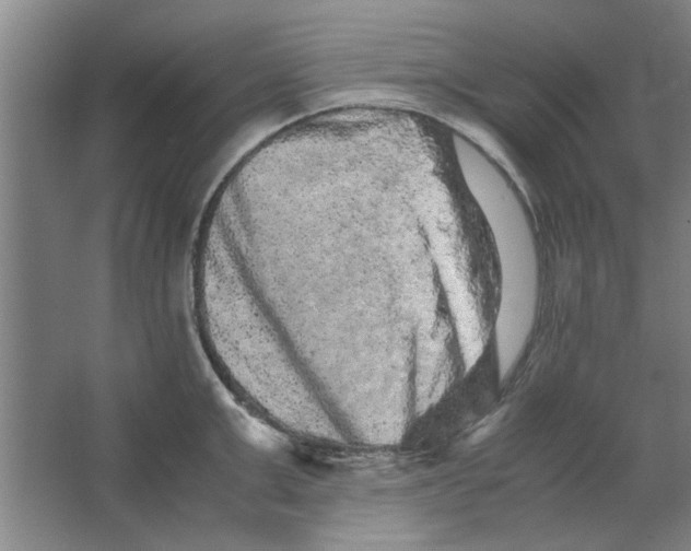X0000063440999200602101617