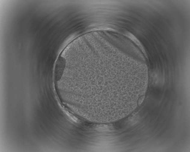 X0000063441002200602101617