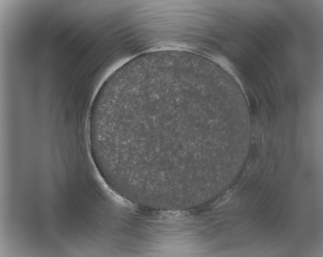 X0000063441003200602101617