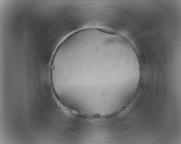 X0000063441004200602101617