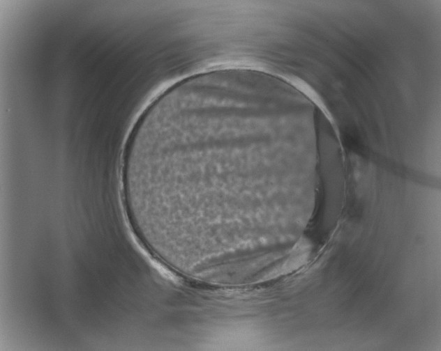 X0000063441005200602101617