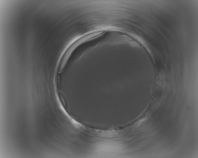 X0000063441007200602101617