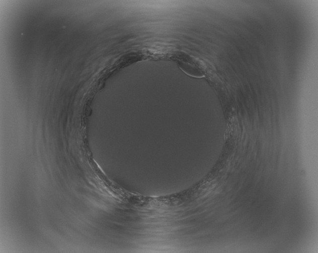 X0000063441009200602101616