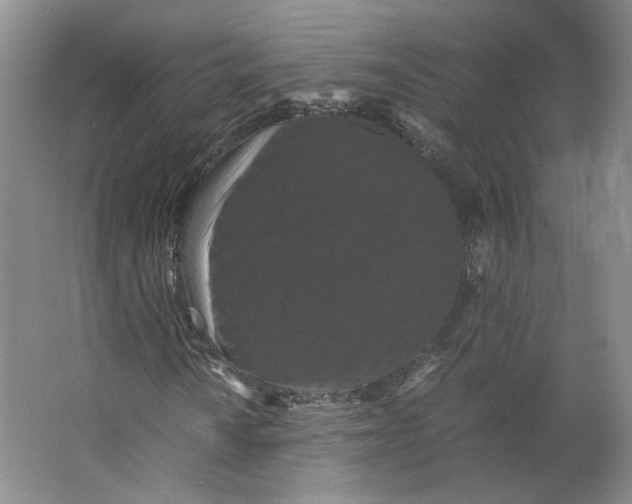 X0000063441010200602101616