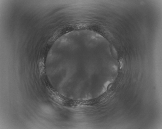 X0000063441011200602101616
