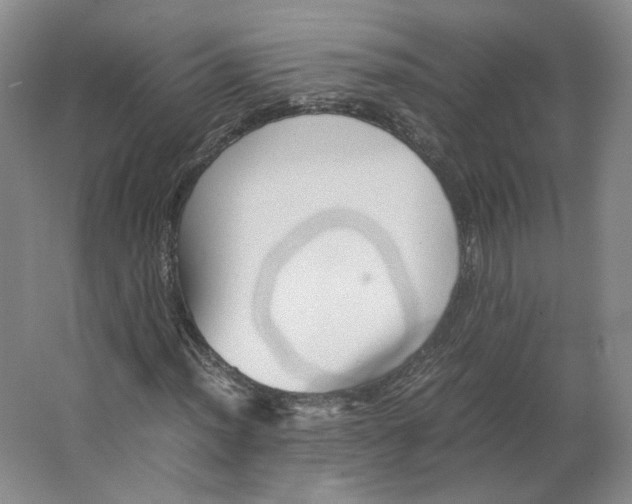 X0000063441012200602101616