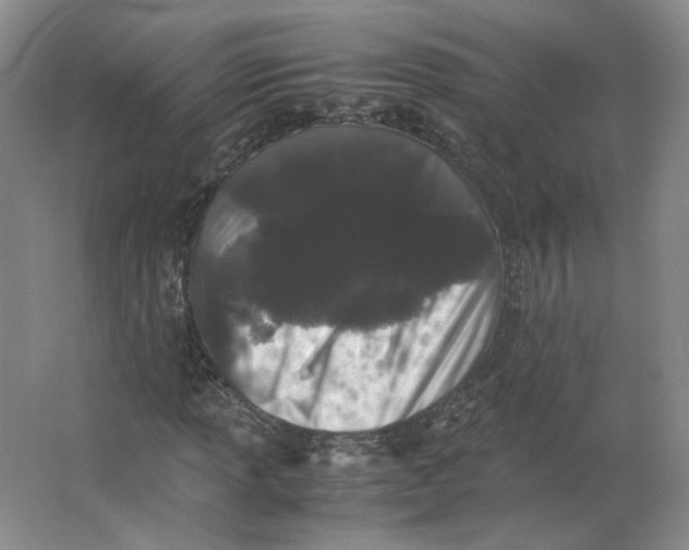 X0000063441013200602101616