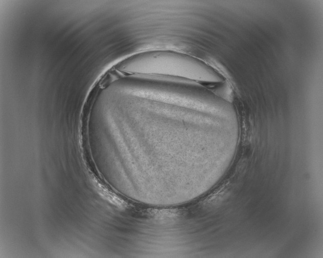 X0000063441020200602101617
