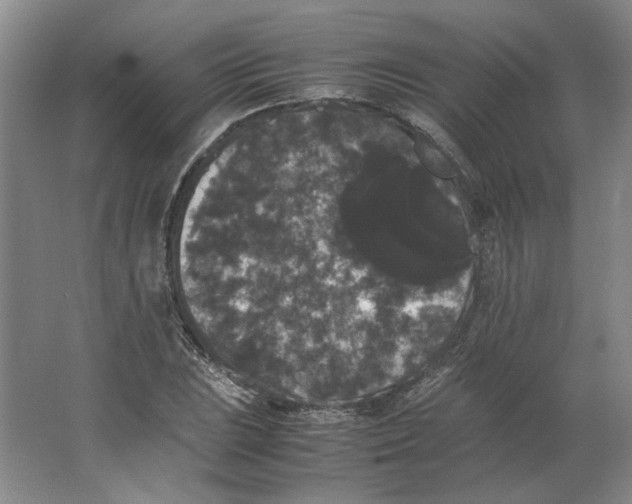 X0000063441023200602101617
