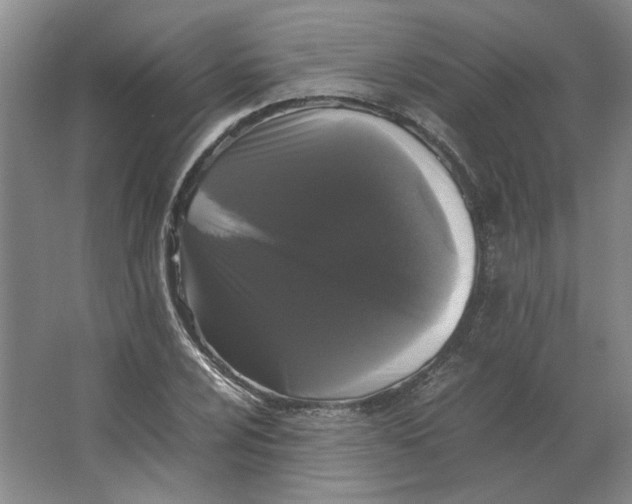 X0000063441024200602101617