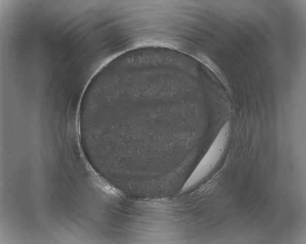 X0000063441028200602101617