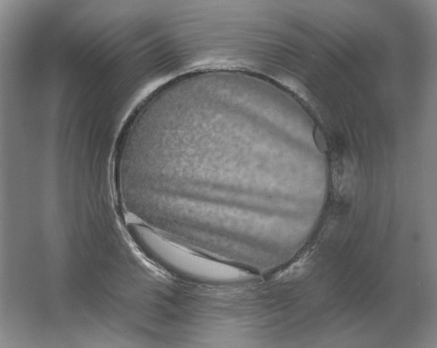 X0000063441030200602101617
