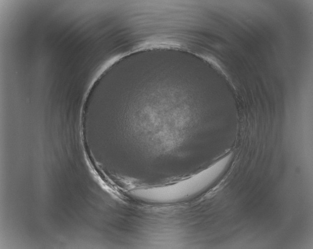 X0000063441038200602101617