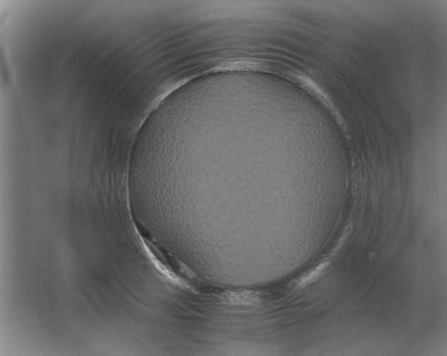 X0000063441041200602101617