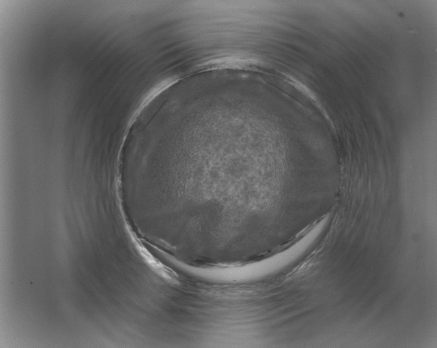 X0000063441042200602101617