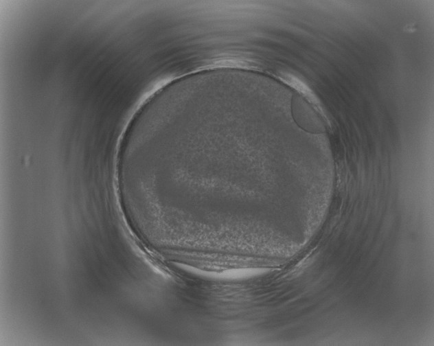 X0000063441043200602101617