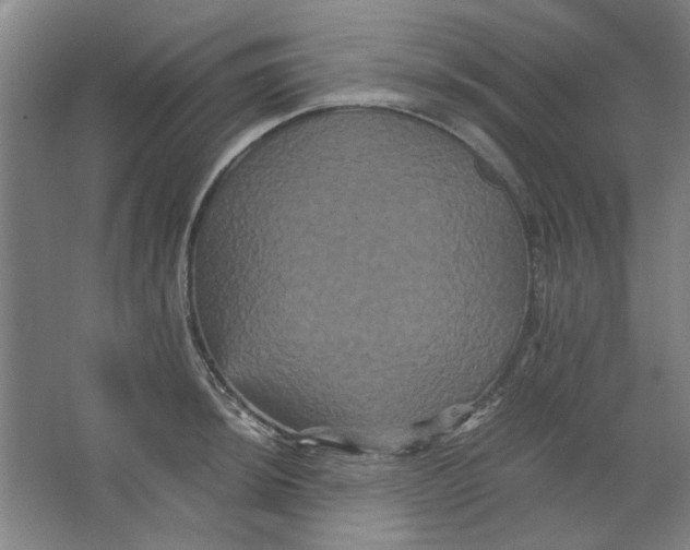 X0000063441044200602101617