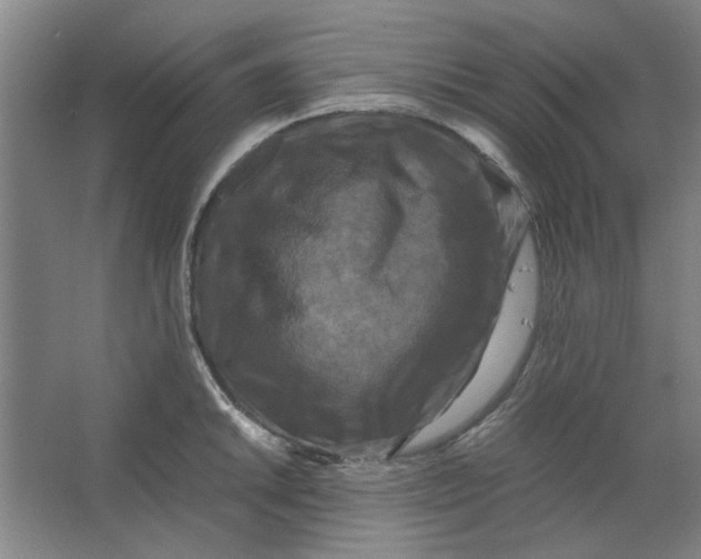 X0000063441046200602101617