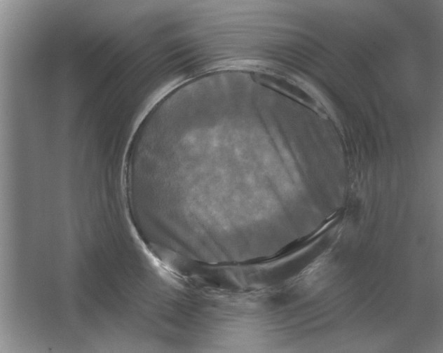X0000063441050200602101617