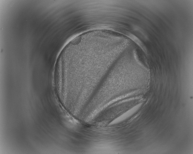 X0000063441052200602101617