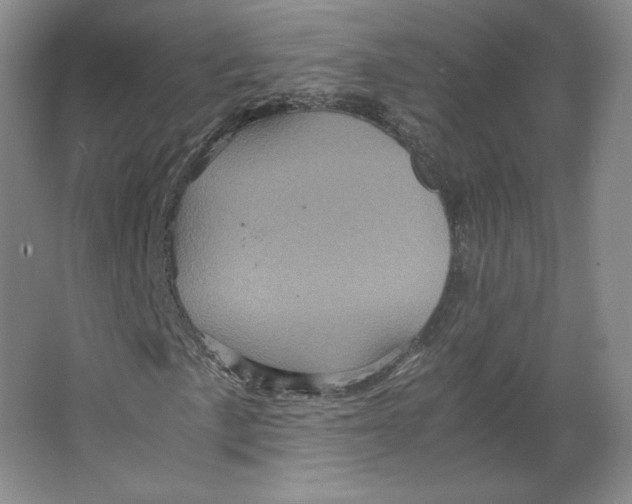 X0000063441057200602101616