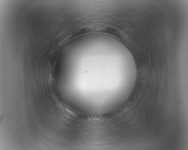 X0000063441058200602101616