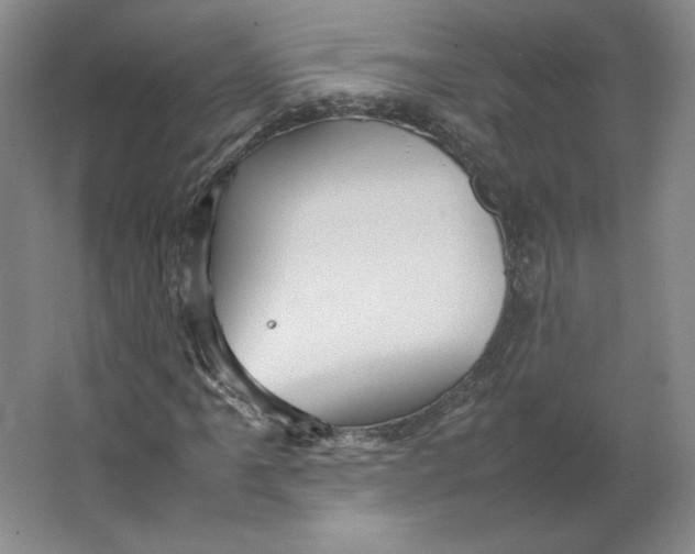 X0000063441061200602101616