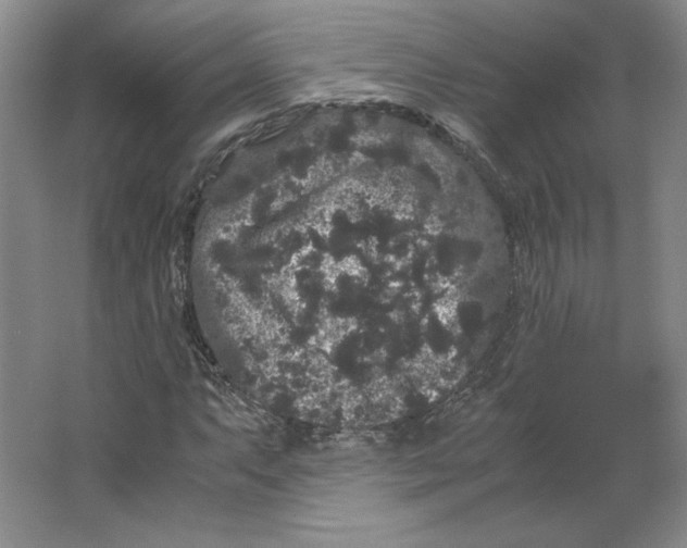 X0000063441063200602101616