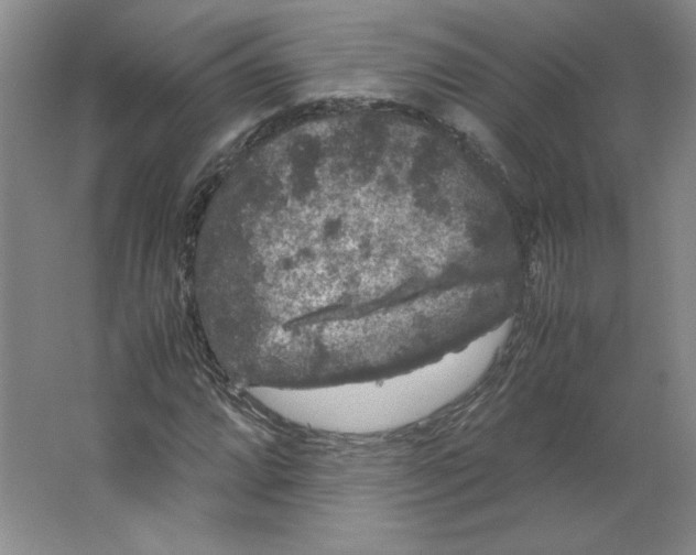 X0000063441064200602101616