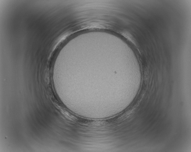 X0000063441067200602101616