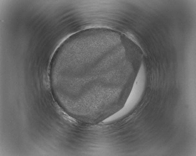 X0000063441068200602101616