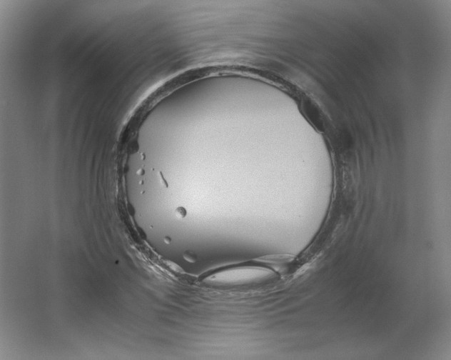 X0000063441069200602101616