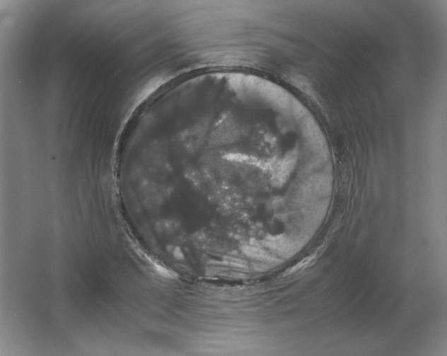 X0000063441071200602101616
