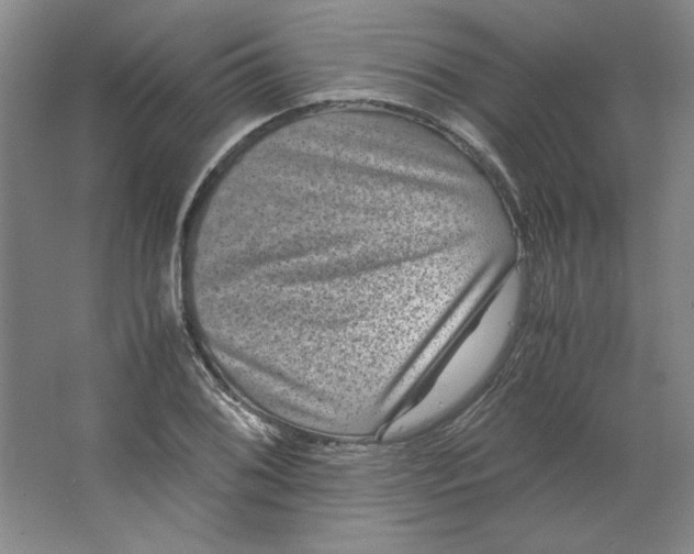 X0000063441076200602101616