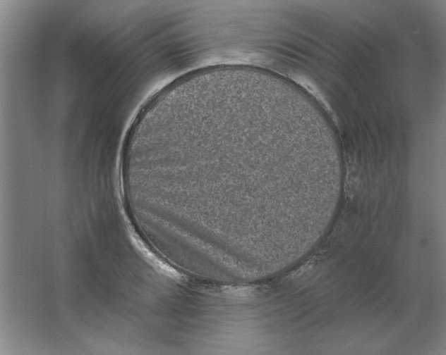 X0000063441080200602101616