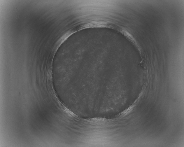 X0000063441081200602101616