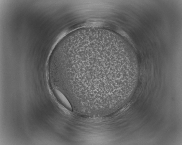 X0000063441083200602101616