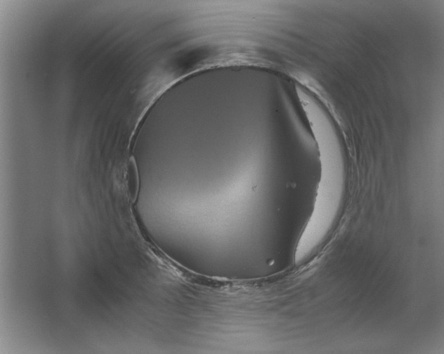 X0000063441089200602101616