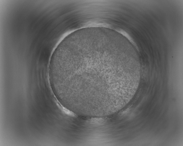 X0000063441094200602101616