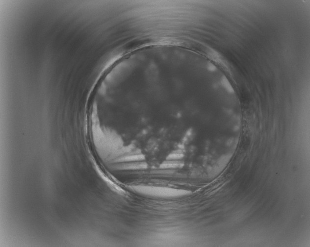 X0000063441095200602101616