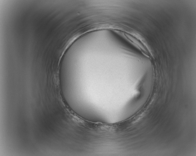 X0000063441097200602101616