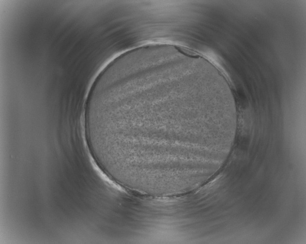 X0000063441100200602101616